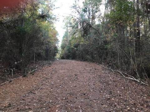 2. Land for Sale at 0 MCCARROLL Road 0 MCCARROLL Road Springfield, Louisiana 70462 United States