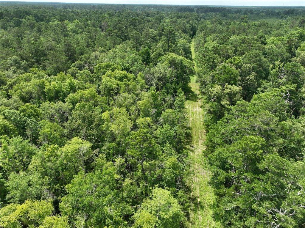 8. Land for Sale at +/-12.09 ACRES HWY 442E Highway +/-12.09 ACRES HWY 442E Highway Hammond, Louisiana 70401 United States