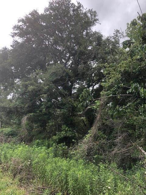 5. Land for Sale at TBD BUCK ANTHONY Road TBD BUCK ANTHONY Road Folsom, Louisiana 70437 United States