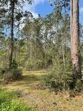5. Land for Sale at Lot 5-A4 FISH HATCHERY Road Lot 5-A4 FISH HATCHERY Road Lacombe, Louisiana 70445 United States