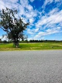 Land for Sale at 358 W 107TH Street 358 W 107TH Street Cut Off, Louisiana 70345 United States