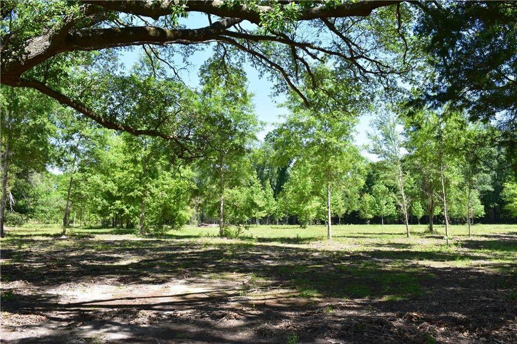7. Land for Sale at Lot C4 EBB GUILLOT Road Lot C4 EBB GUILLOT Road Pearl River, Louisiana 70452 United States
