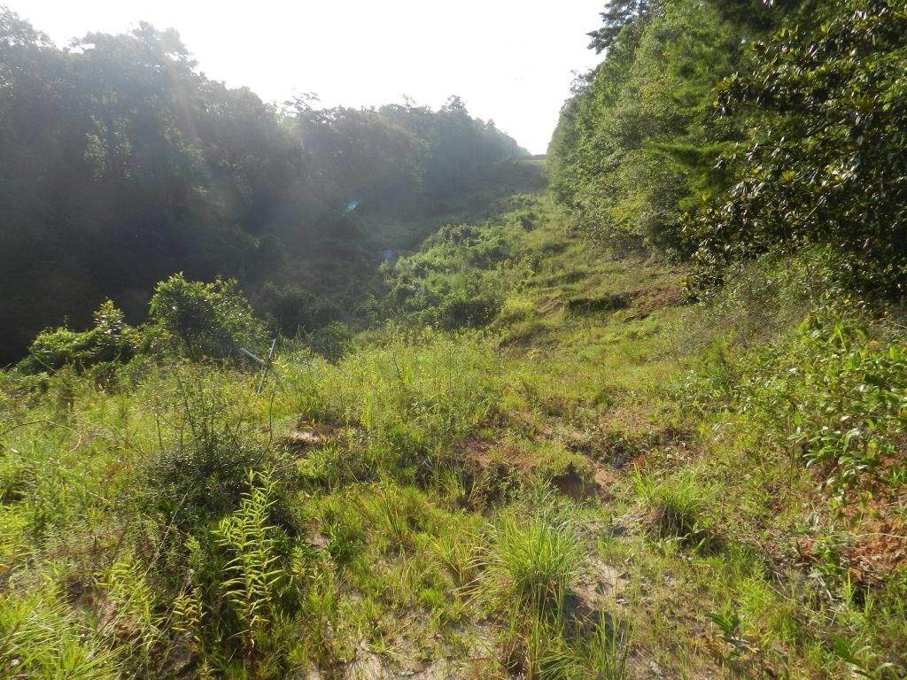5. Land for Sale at Address Restricted by MLS Bush, Louisiana 70431 United States