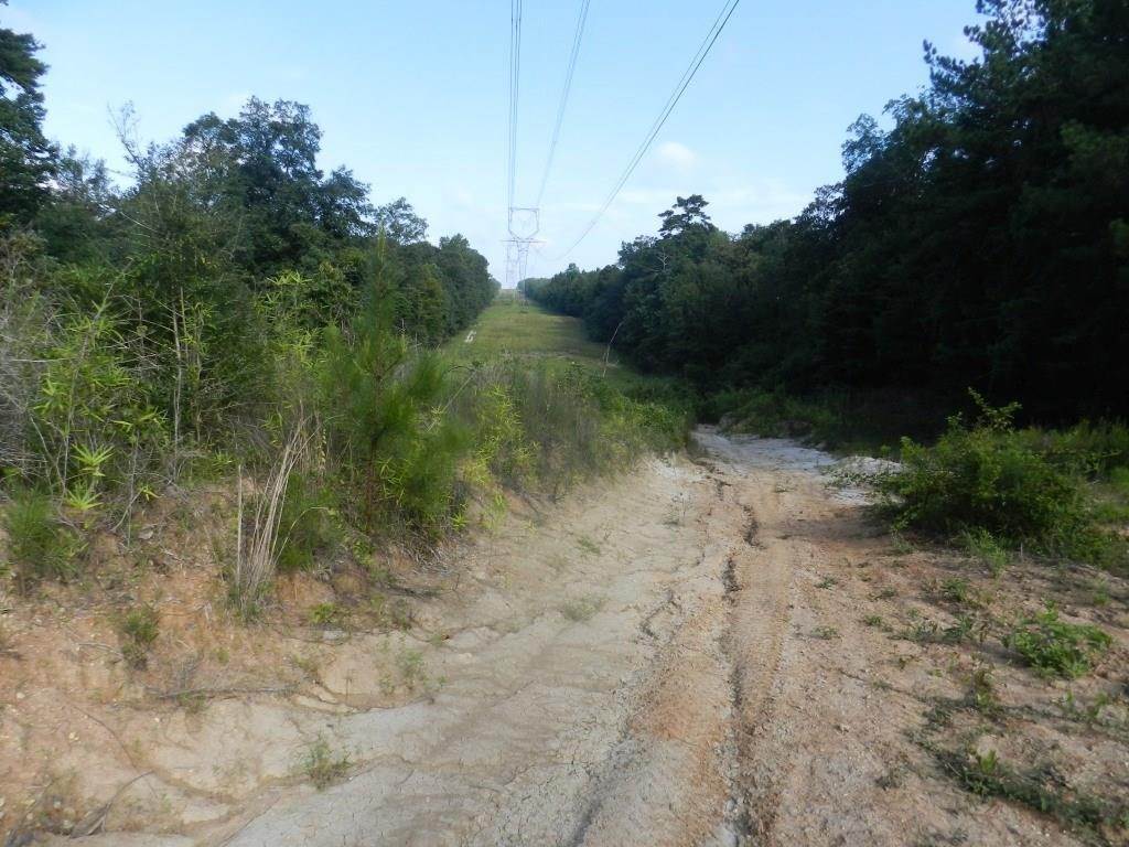 9. Land for Sale at Address Restricted by MLS Bush, Louisiana 70431 United States
