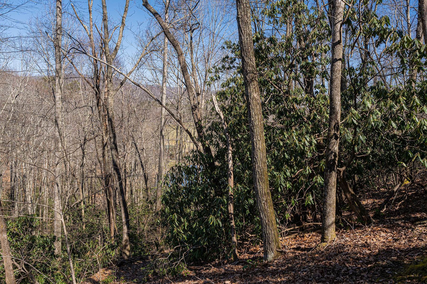 12. Land for Sale at Buncombe 9999 Newman Cove Road Arden, North Carolina 28704 United States