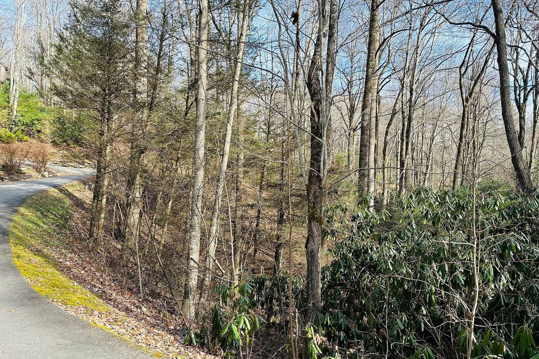 13. Land for Sale at BOONE FORK CAMP - BLOIWNG ROCK TBD Lot 29 Chickasaw Trl Blowing Rock, North Carolina 28605 United States