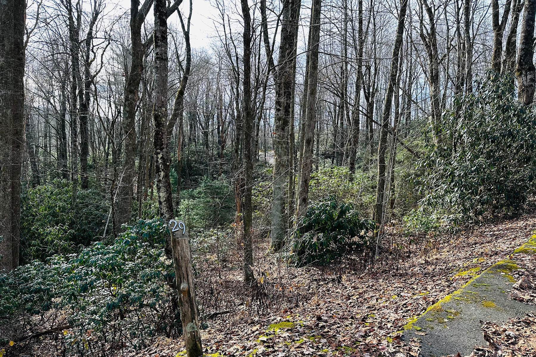2. Land for Sale at BOONE FORK CAMP - BLOIWNG ROCK TBD Lot 29 Chickasaw Trl Blowing Rock, North Carolina 28605 United States